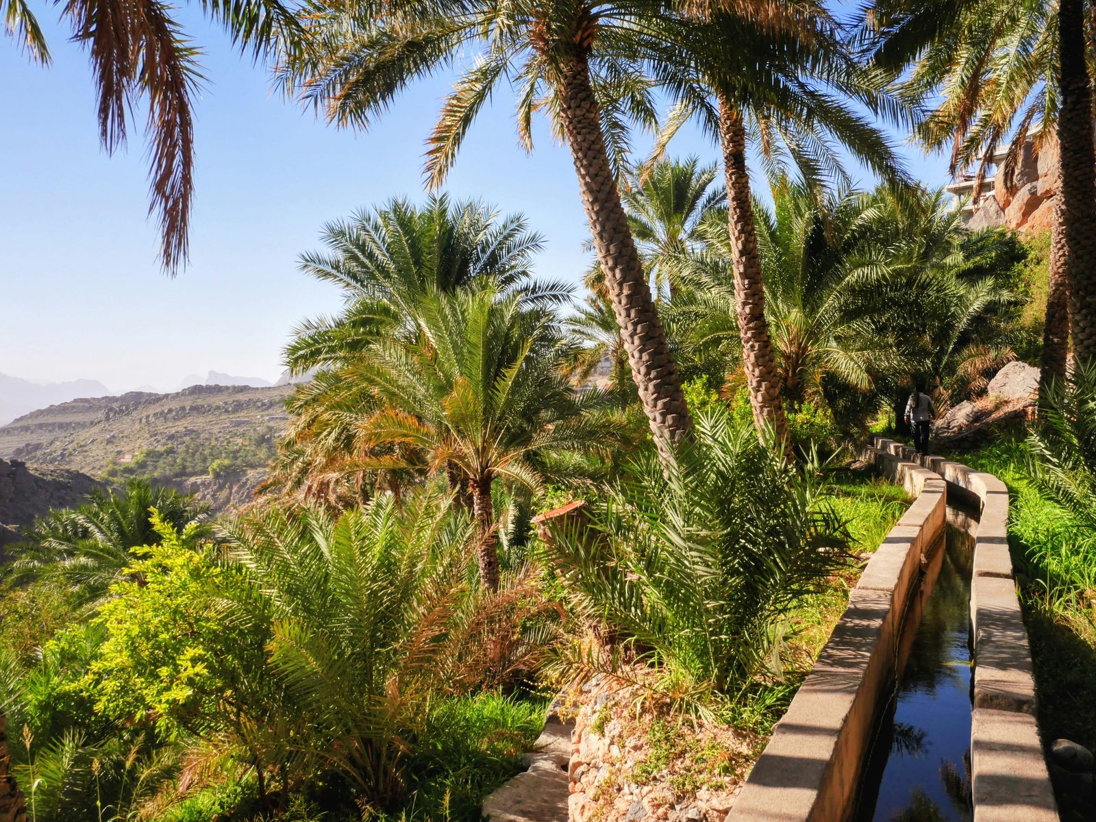نخيل يحفّ بقناة الفلج في مسفاة العبريين، وهي تجري على سفح الجبل فوق وادٍ، وفي الأفق سلاسل جبال الحجر.
